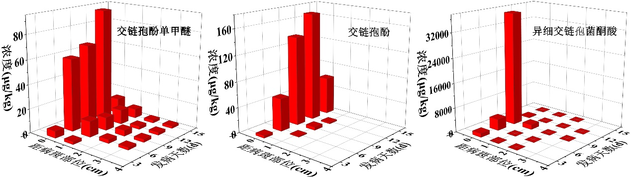 图片6.png