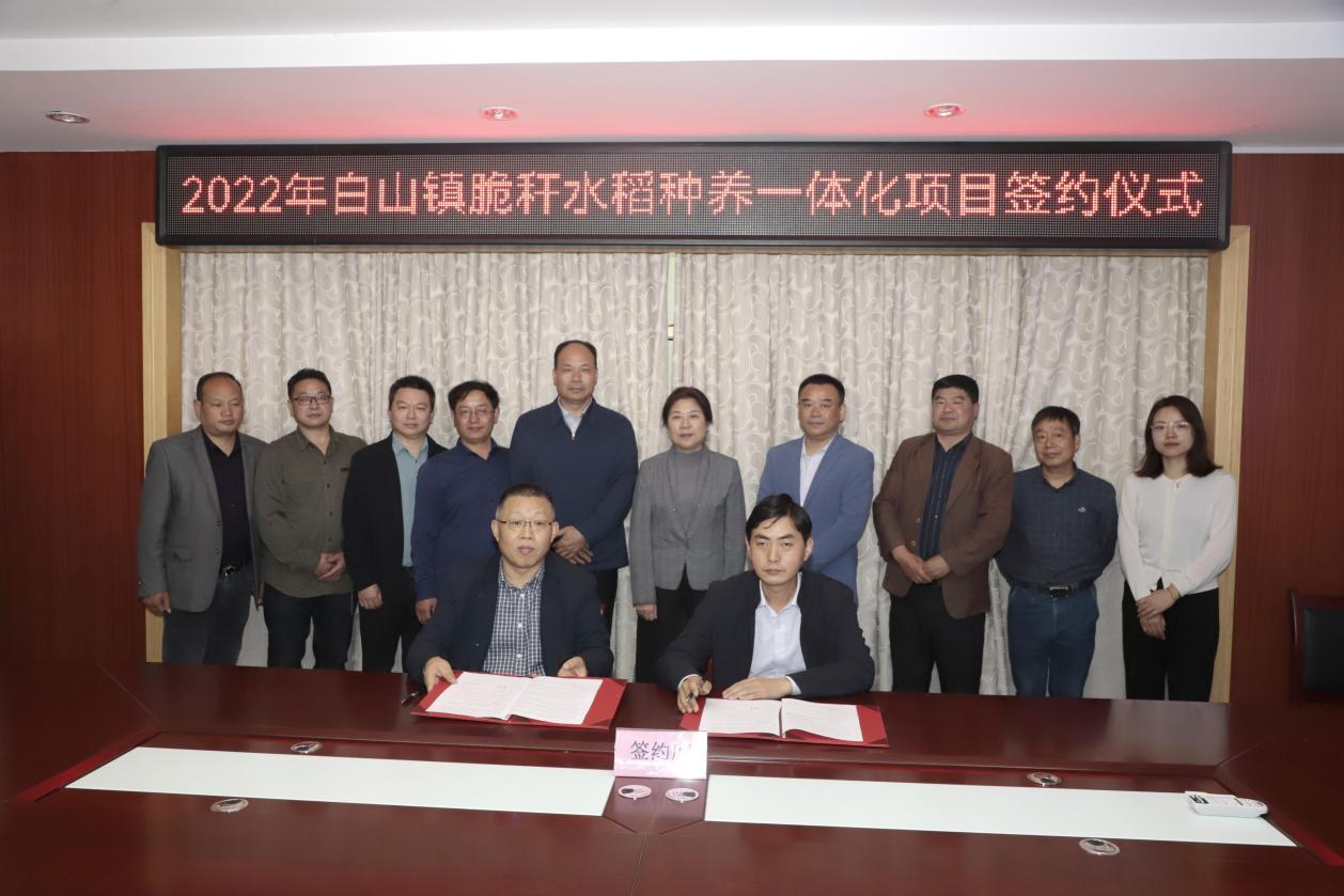 央媒密集聚焦的背后，凯发k8给出了方案4.png